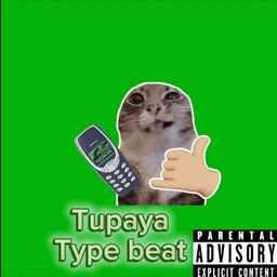 Tupaya (Type Beat)