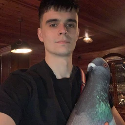 аниме дерьмо shit