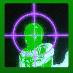 T33N