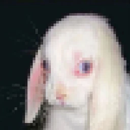 badeyes