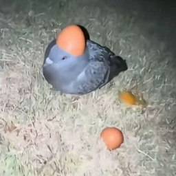 ШКАЛА2ПИЗНЫ