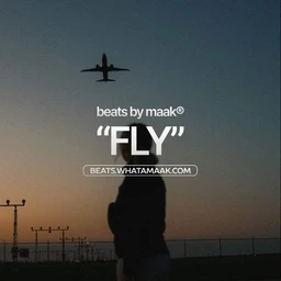 🪽 Fly