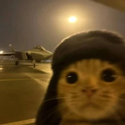 шиз