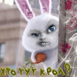 gaztrop