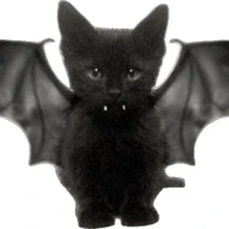 meow