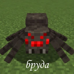 hphph