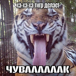 романпро