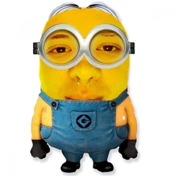 qsyteeeyy