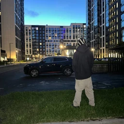 gorb