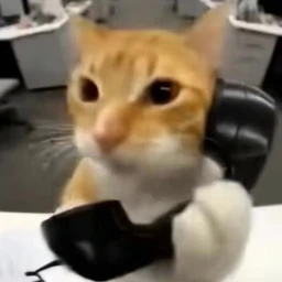 192