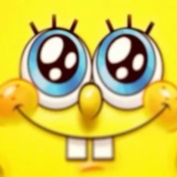 Sponge BOB TYPE