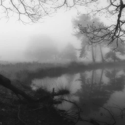 depth