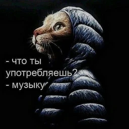 Iseeu