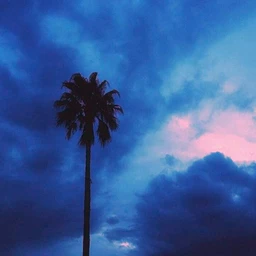 honolulu