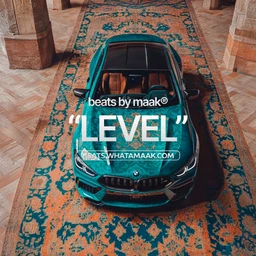 ㊙️ Level