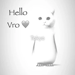 hello vro