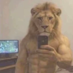ay