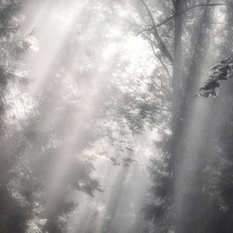 ephemeral