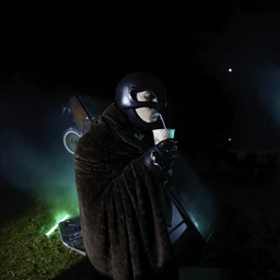 bear [alpha] | FLINT DETROIT