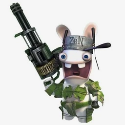 gun