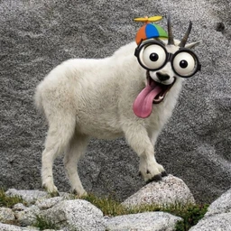 myasorubka