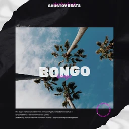 bongo