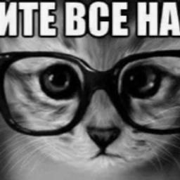 дежавю