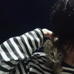 IMYA