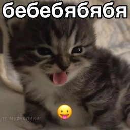 prikoli