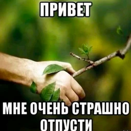 lissst