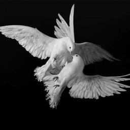 use me