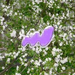 Madama