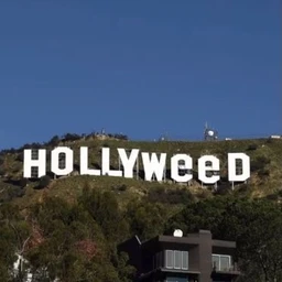holyweed