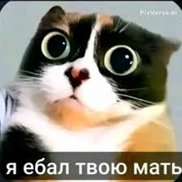 сан2metra